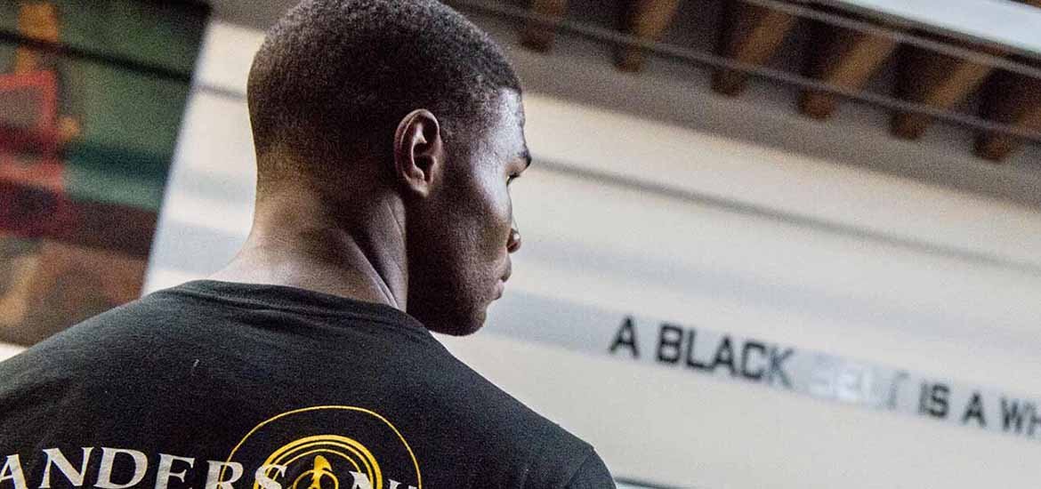 Anderson's Martial Artist