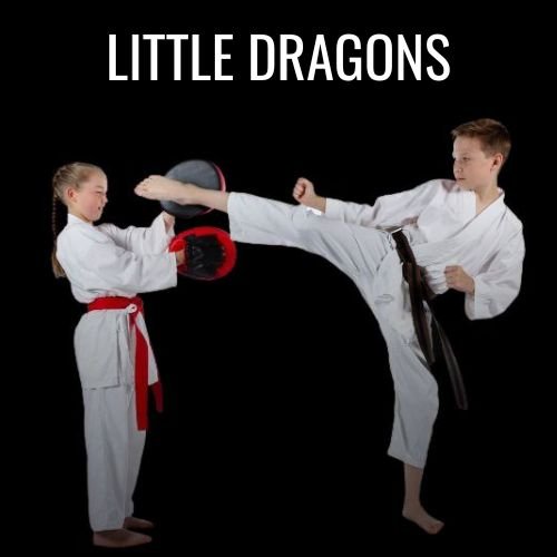 Little Dragons