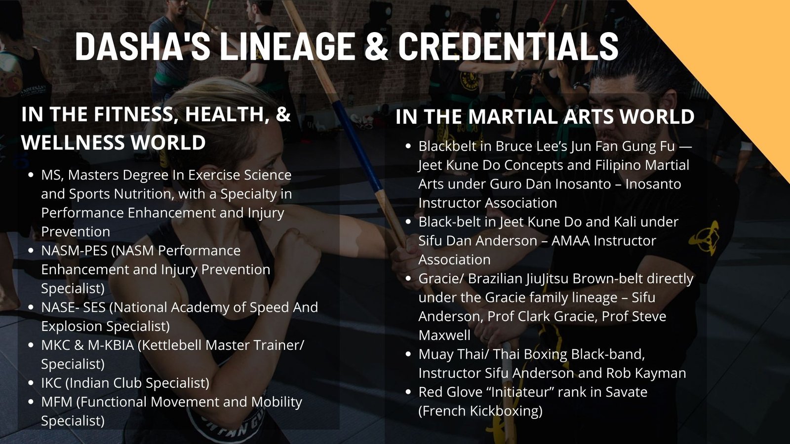 Corporate Self Defense - Rapid Response tactical safety program