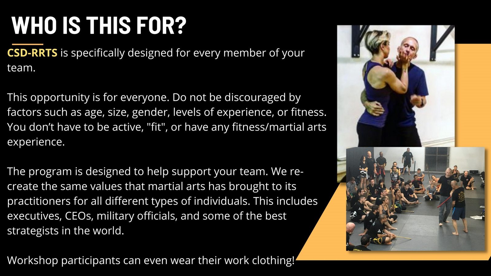 Corporate Self Defense - Rapid Response tactical safety program